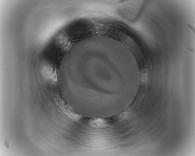 X0000100890431200807011201