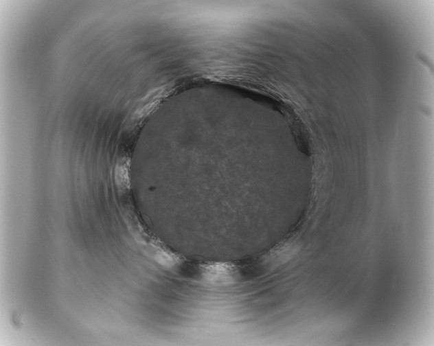 X0000100890432200807011201