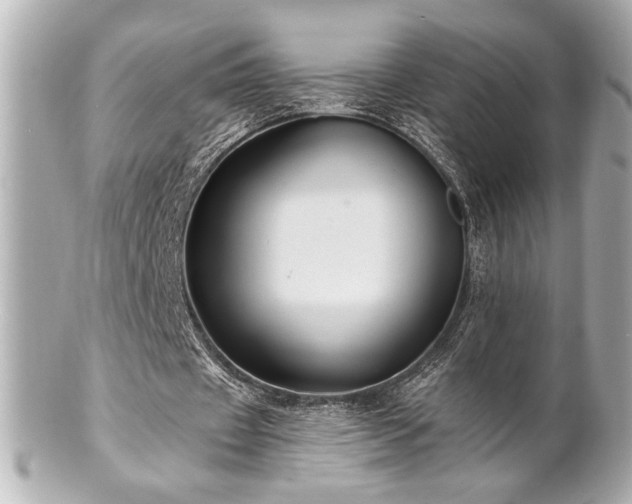 X0000100890433200807011200