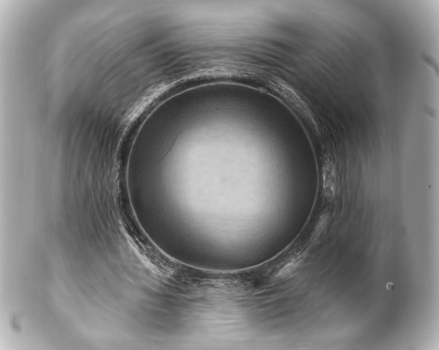 X0000100890436200807011200