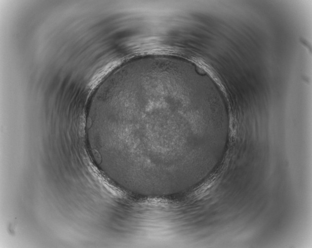 X0000100890437200807011201