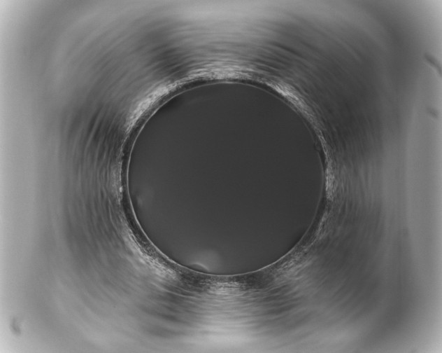 X0000100890438200807011201