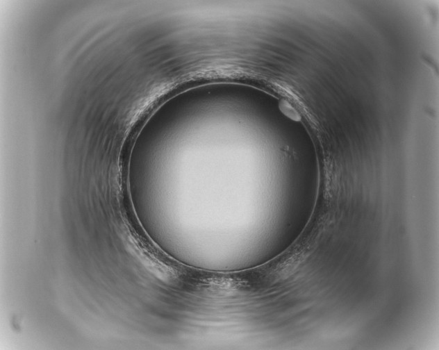 X0000100890439200807011201