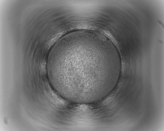 X0000100890441200807011201