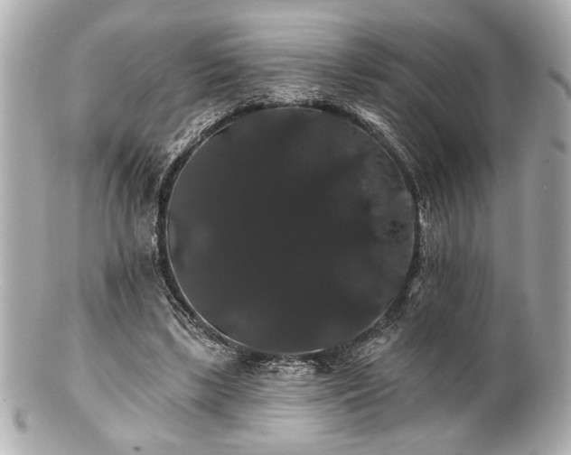 X0000100890443200807011201