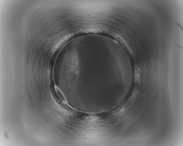 X0000100890444200807011201