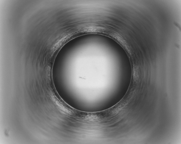 X0000100890445200807011201