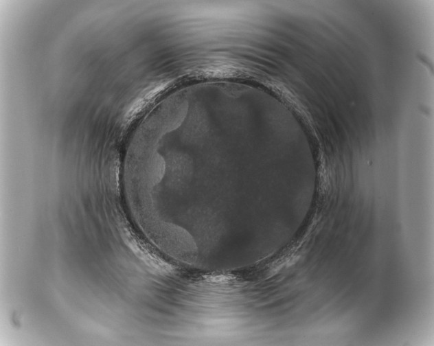 X0000100890446200807011201