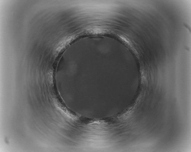 X0000100890447200807011201