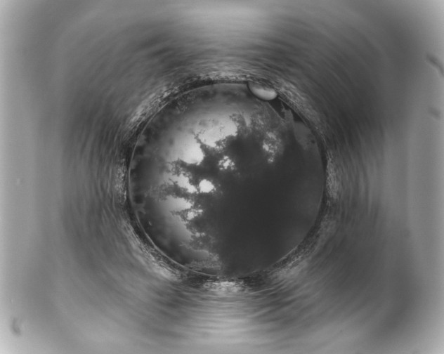 X0000100890449200807011201