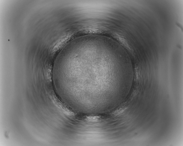 X0000100890450200807011201