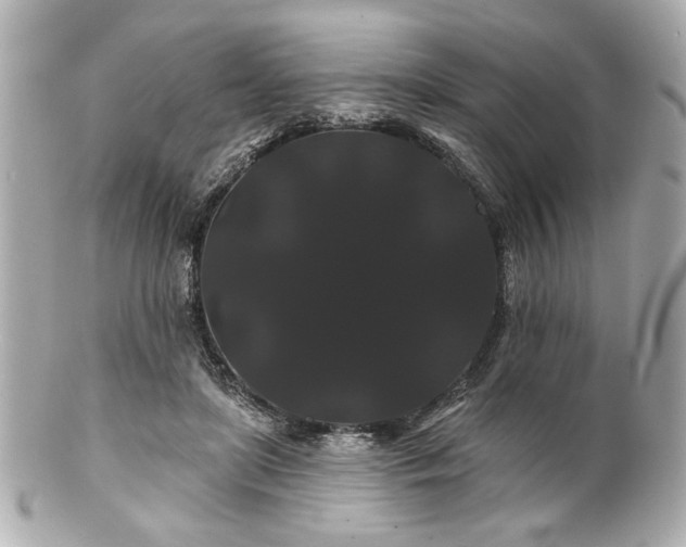 X0000100890451200807011201