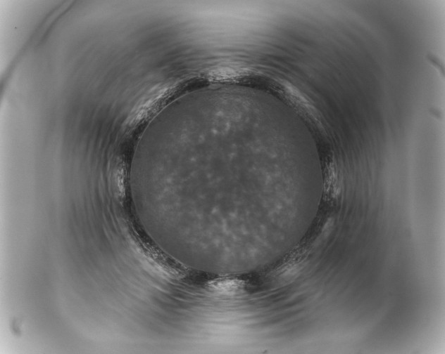 X0000100890452200807011201