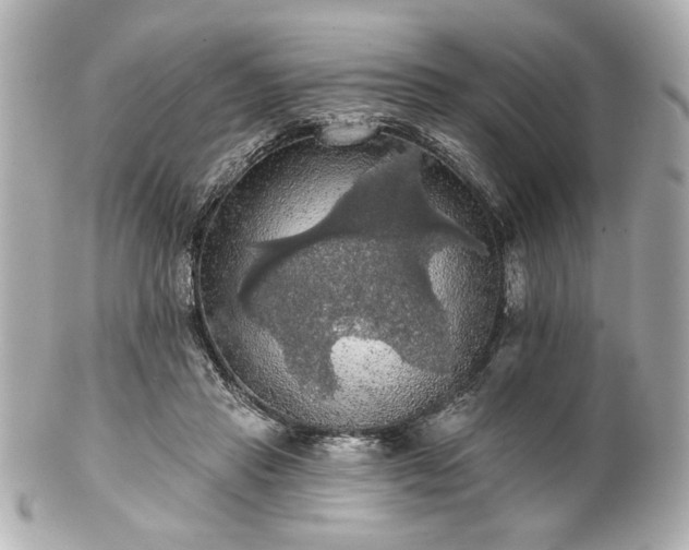 X0000100890453200807011201