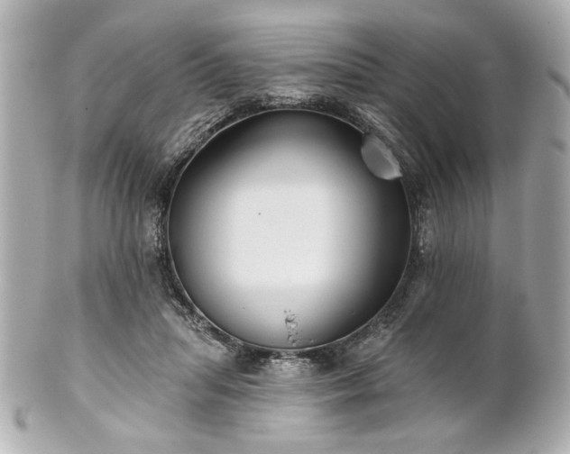 X0000100890455200807011201