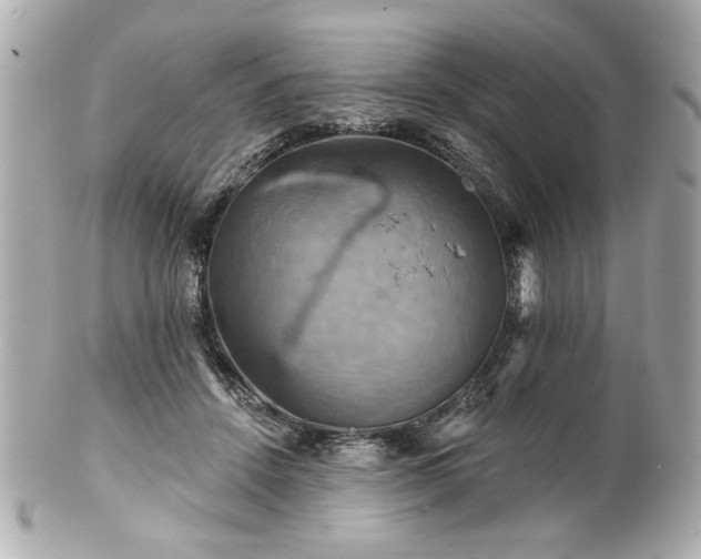 X0000100890456200807011201