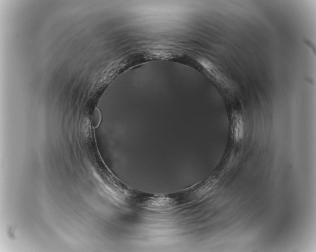 X0000100890459200807011201