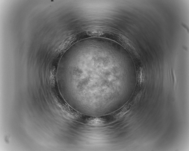 X0000100890460200807011201