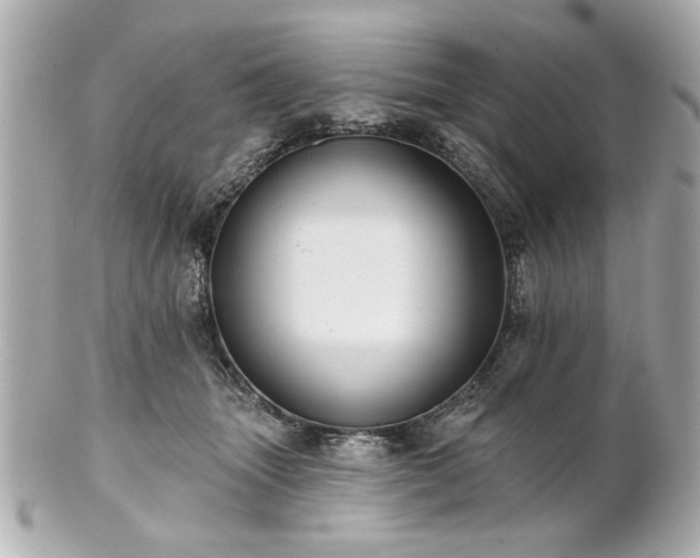 X0000100890463200807011201