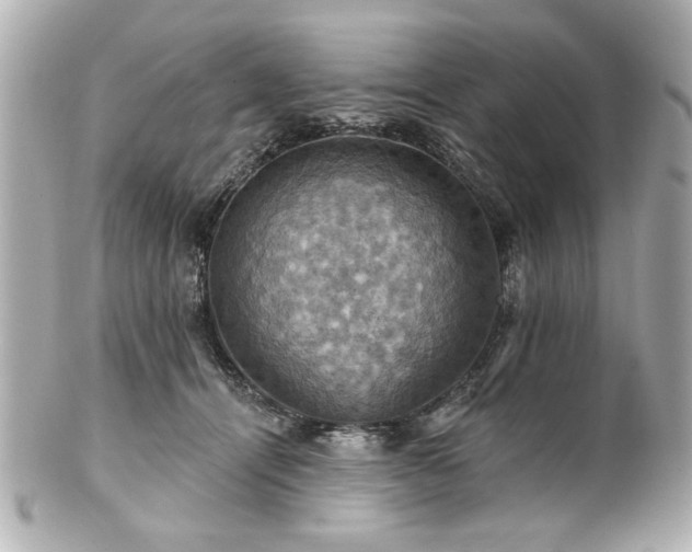 X0000100890464200807011201