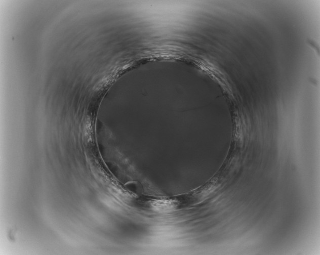 X0000100890465200807011201