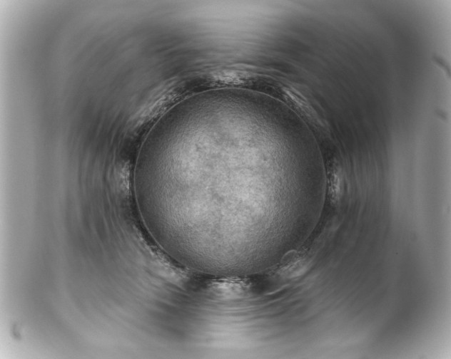 X0000100890466200807011201