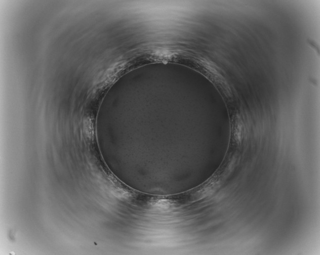 X0000100890467200807011201