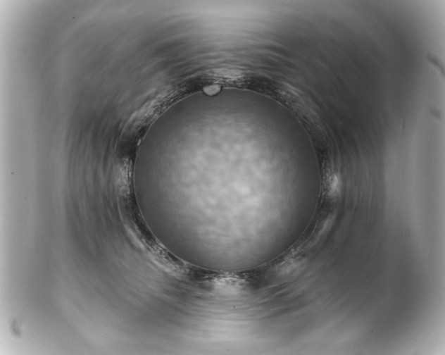 X0000100890468200807011201