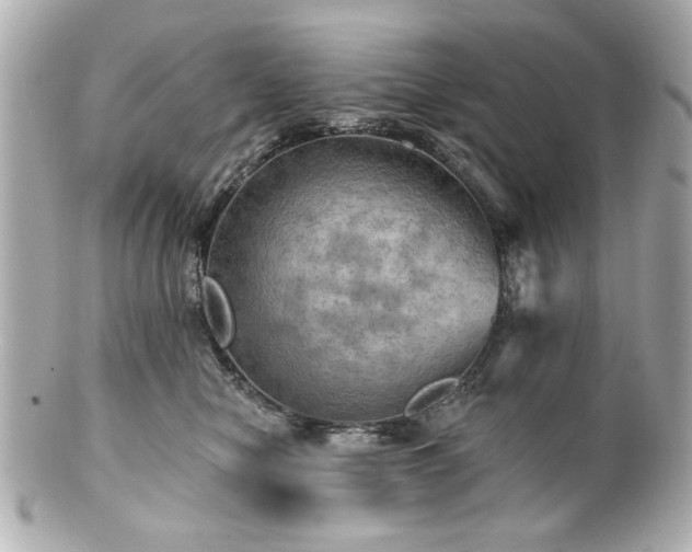 X0000100890470200807011201