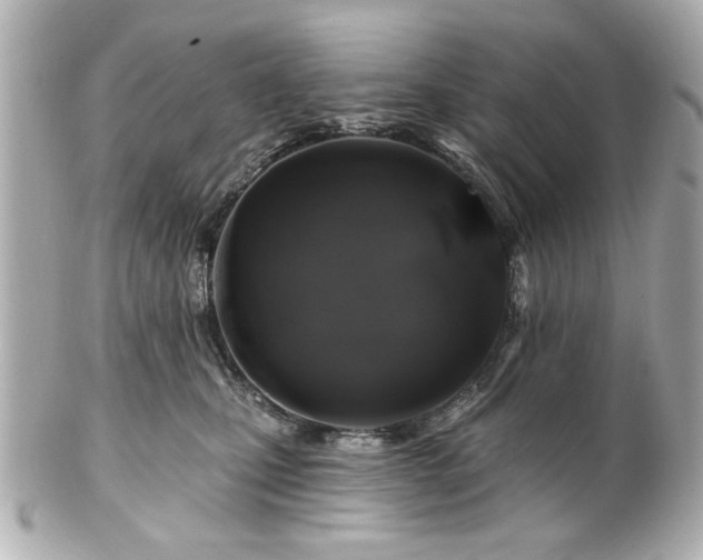 X0000100890471200807011201