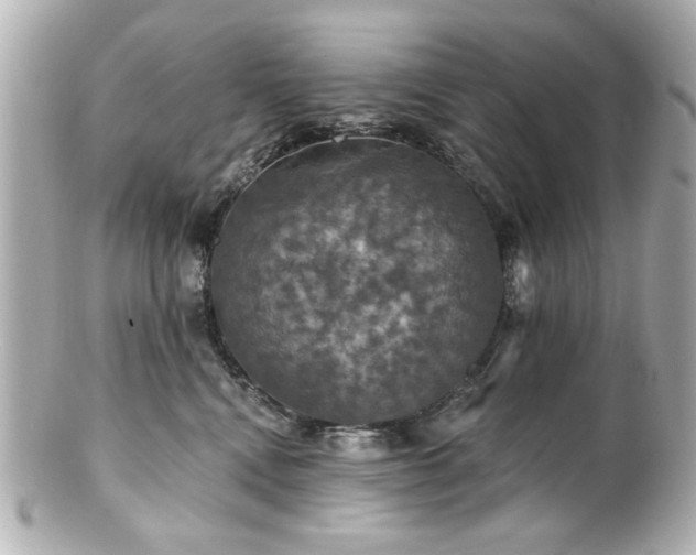X0000100890472200807011201