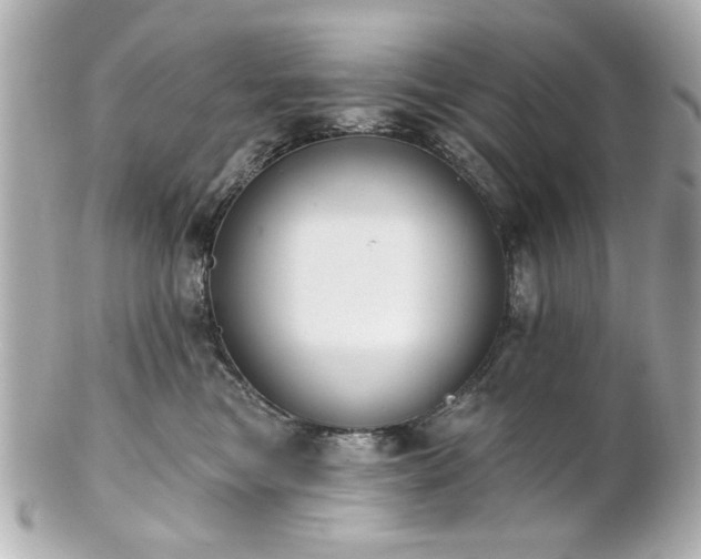 X0000100890473200807011201
