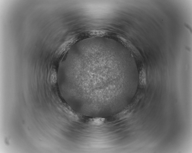 X0000100890474200807011201
