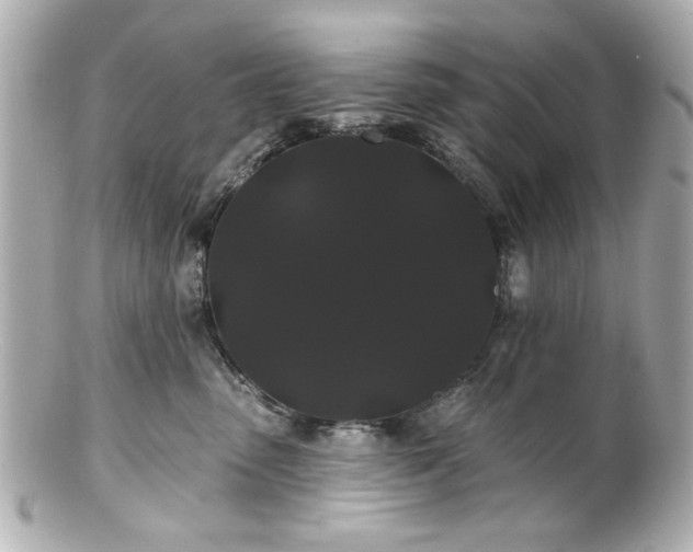X0000100890475200807011201