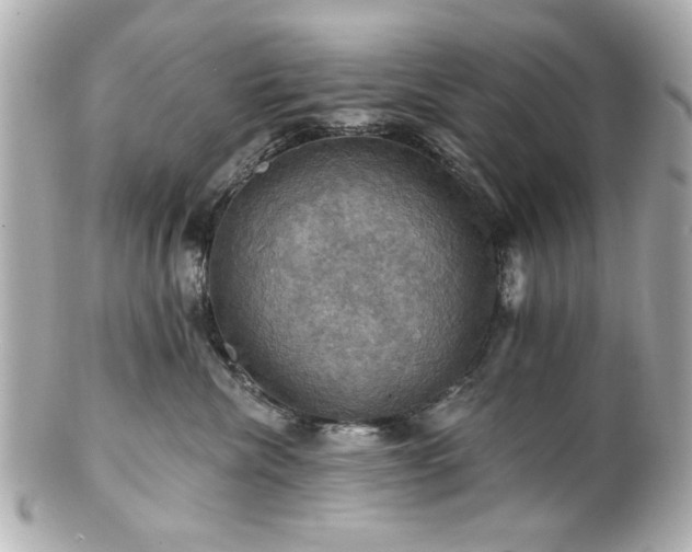 X0000100890476200807011201