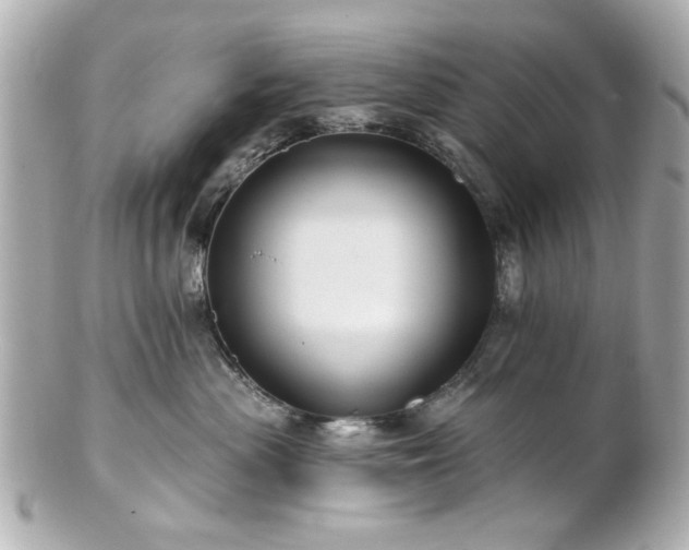 X0000100890477200807011201