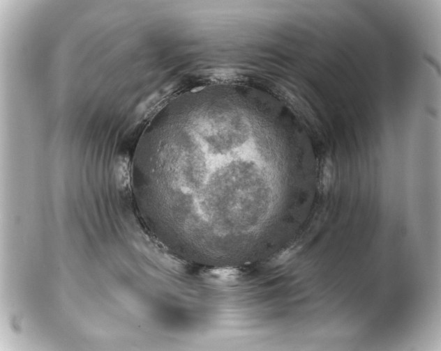 X0000100890478200807011201