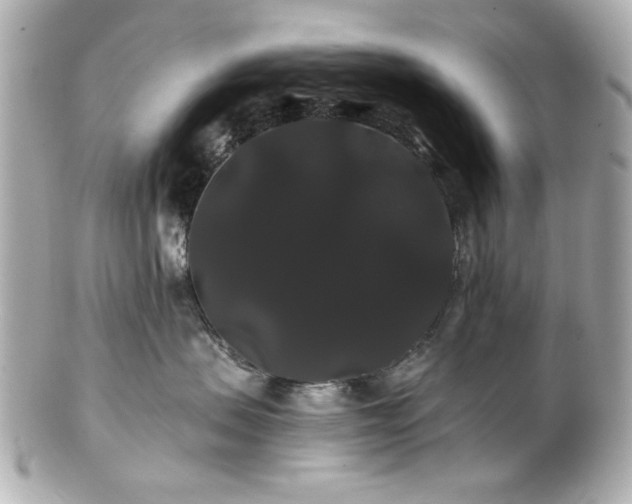 X0000100890479200807011201