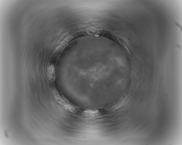 X0000100890480200807011201