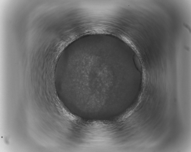 X0000100890481200807011200