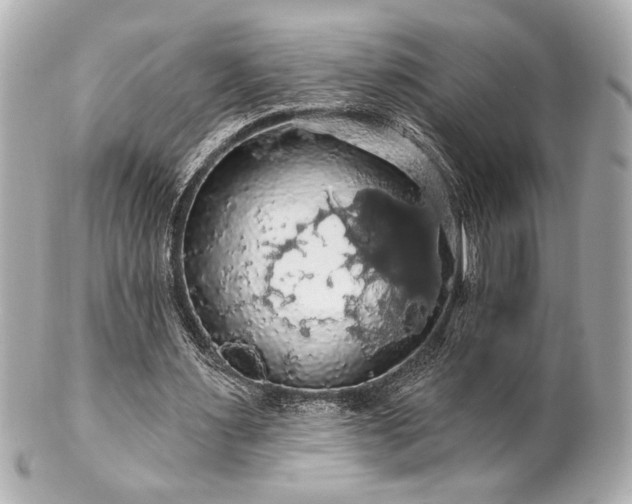 X0000100890483200807011200