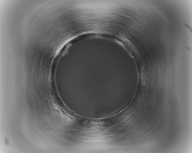 X0000100890484200807011200