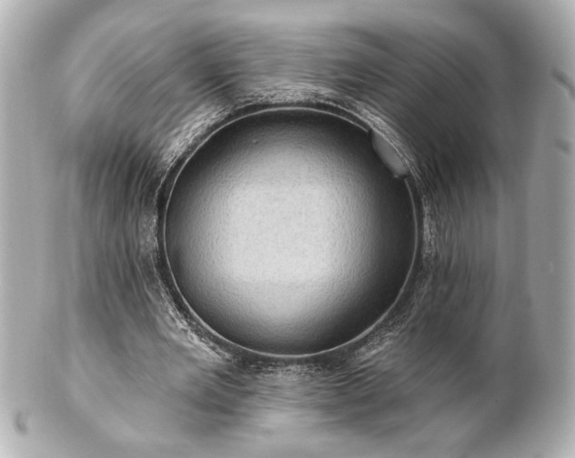 X0000100890485200807011200