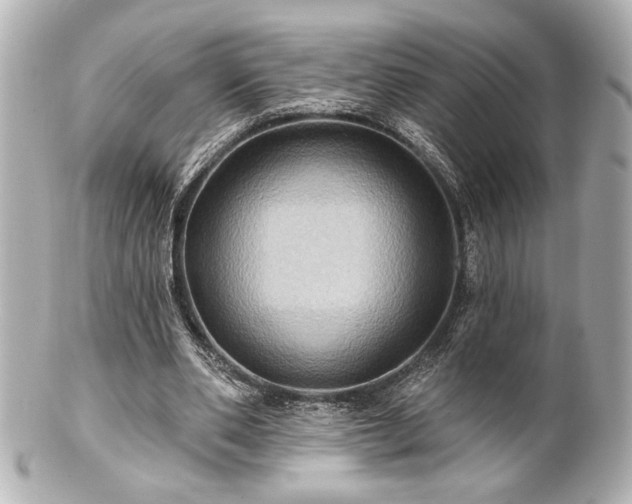 X0000100890486200807011200