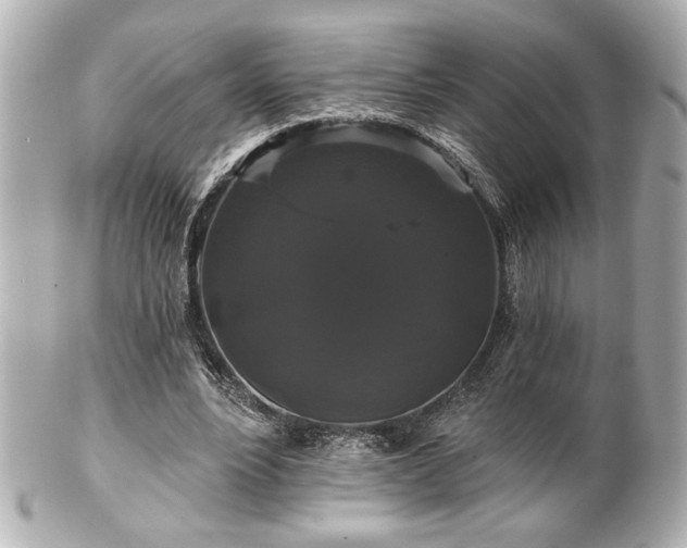 X0000100890488200807011200
