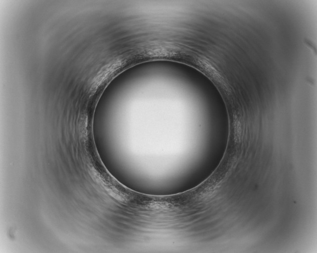 X0000100890490200807011200