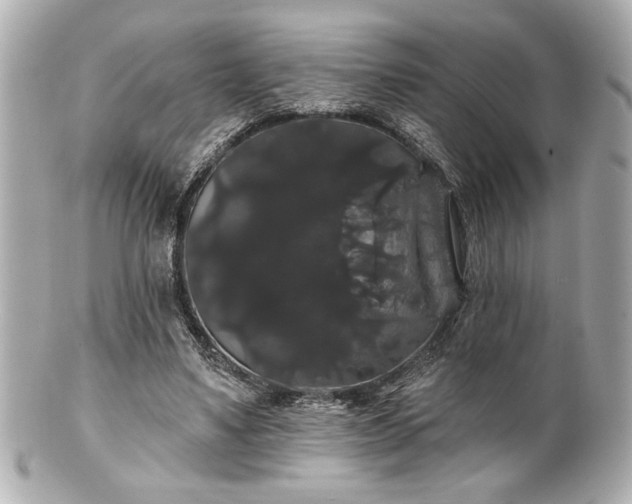 X0000100890491200807011200