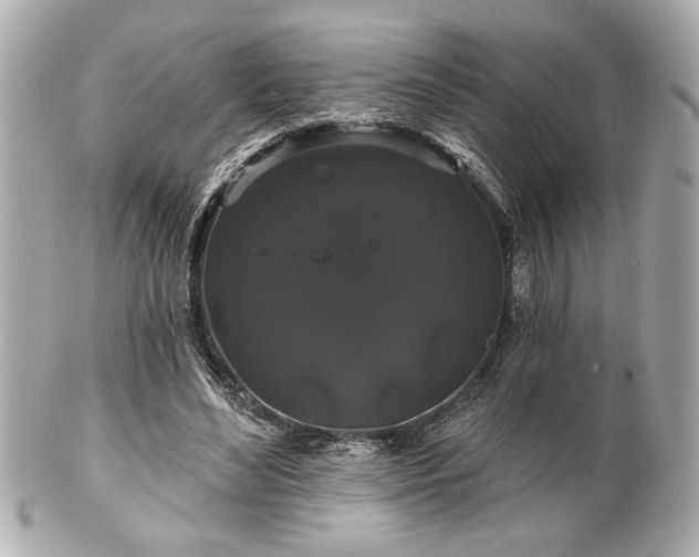 X0000100890492200807011200