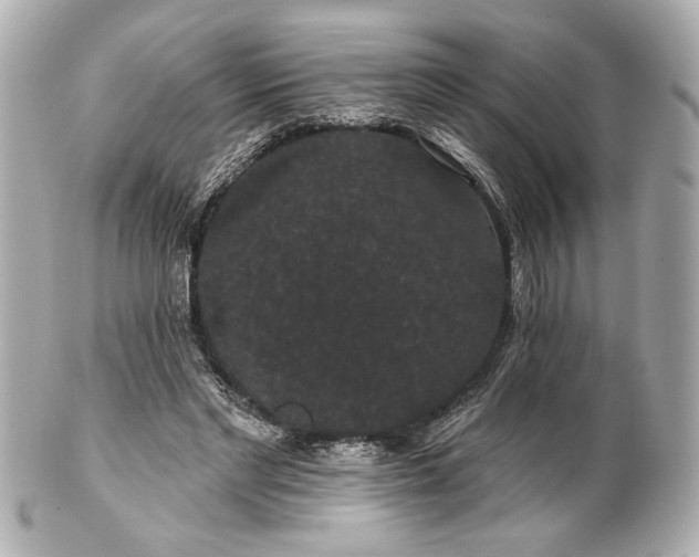 X0000100890493200807011200