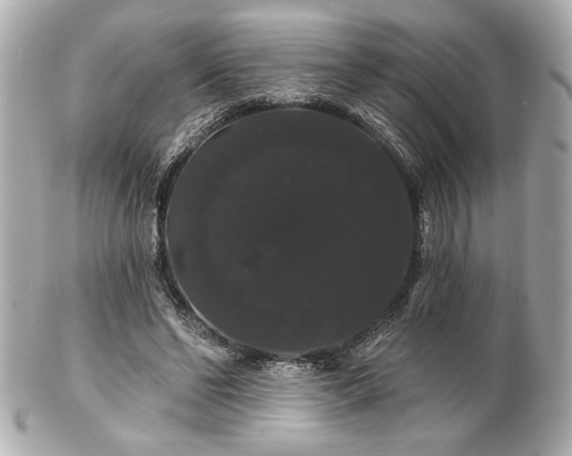 X0000100890494200807011200